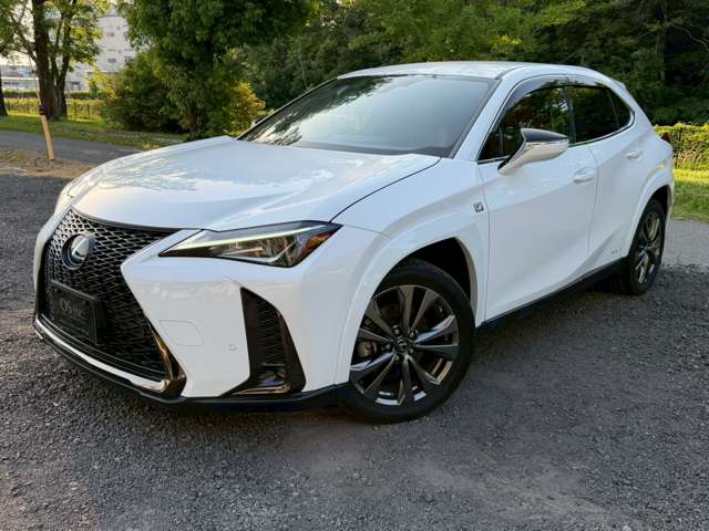 Lexus UX 9