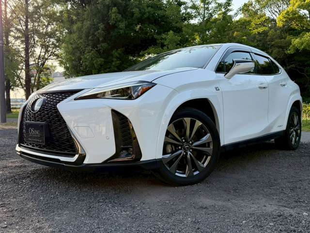 Lexus UX 10