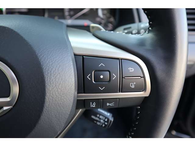 Lexus RX 12