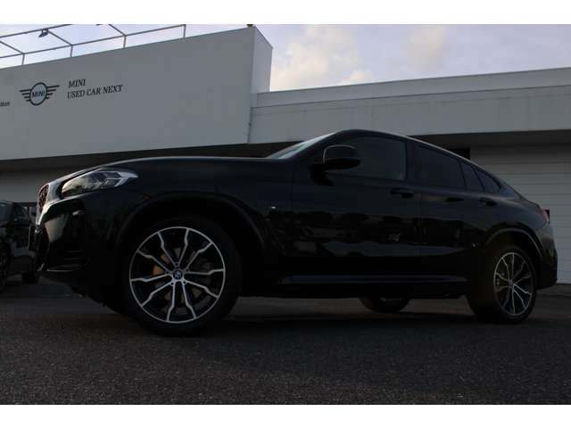 BMW X4 6