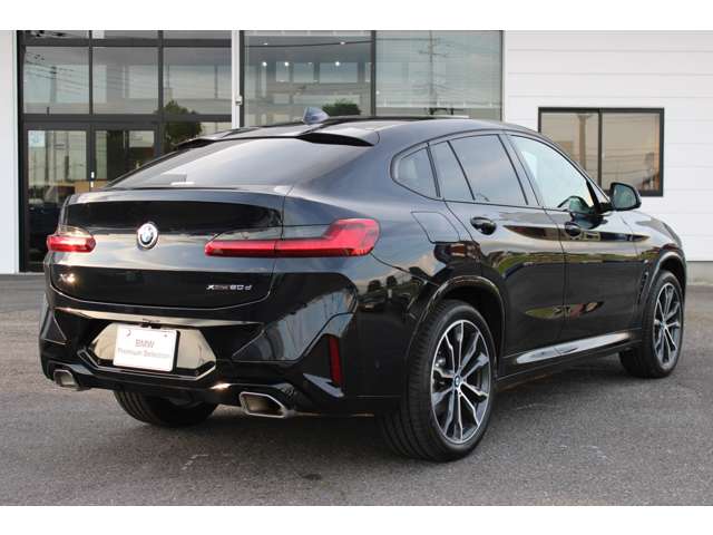 BMW X4 10
