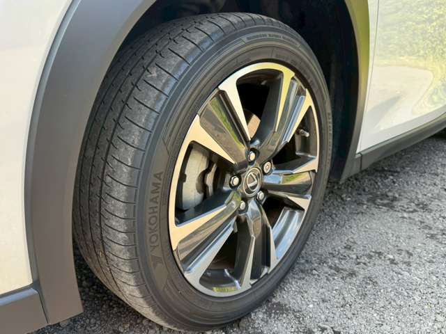 Lexus UX 11