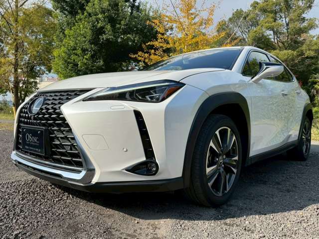 Lexus UX 12