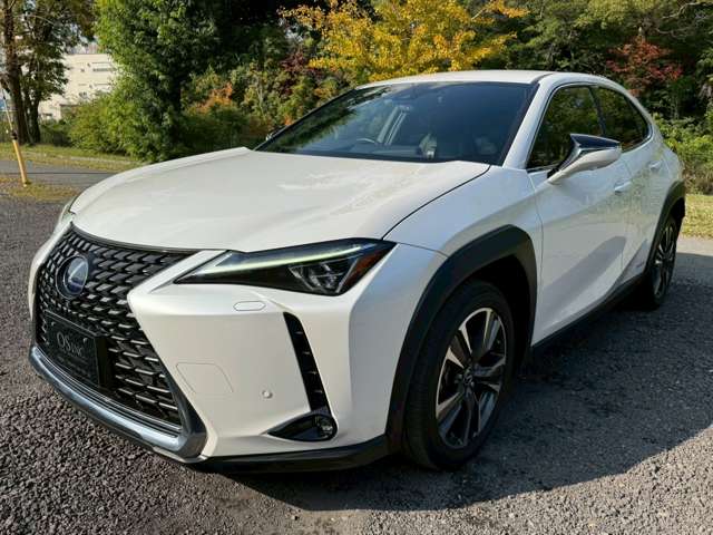 Lexus UX 7