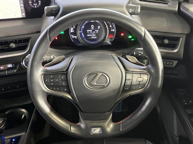 Lexus UX 12
