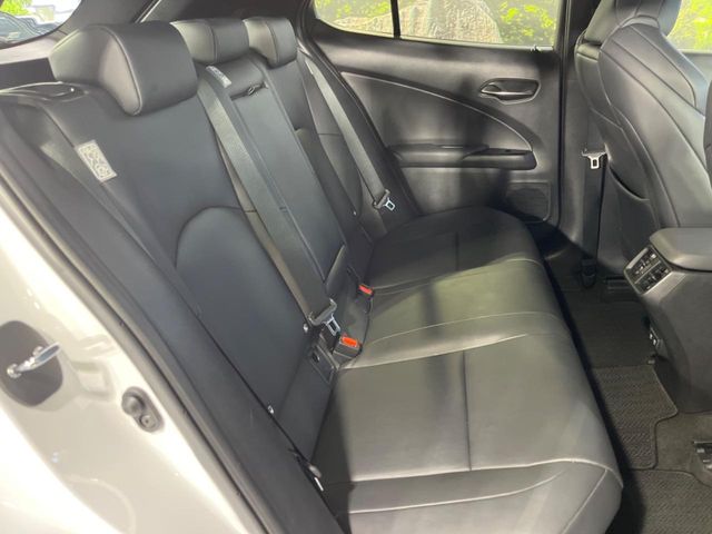 Lexus UX 10