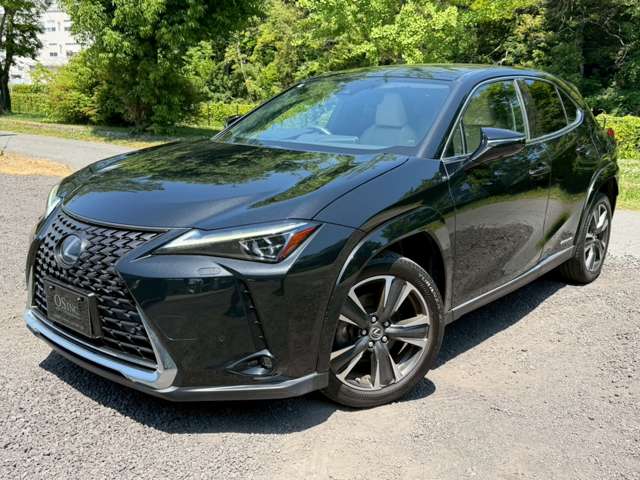 Lexus UX 9