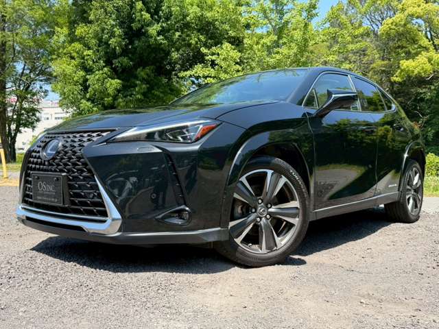 Lexus UX 10