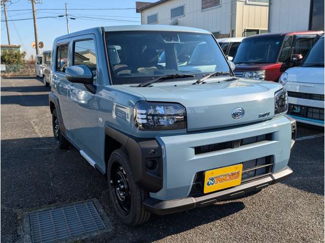 Daihatsu Taft 6