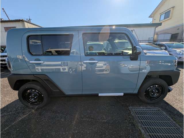 Daihatsu Taft 8