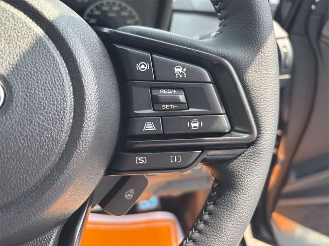 Subaru Crosstrek 7
