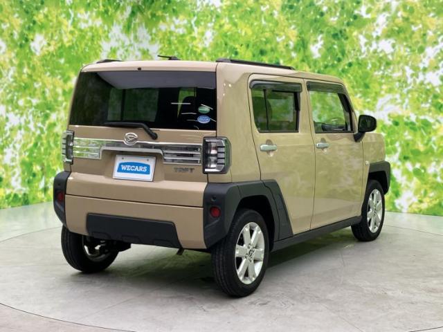 Daihatsu Taft 6