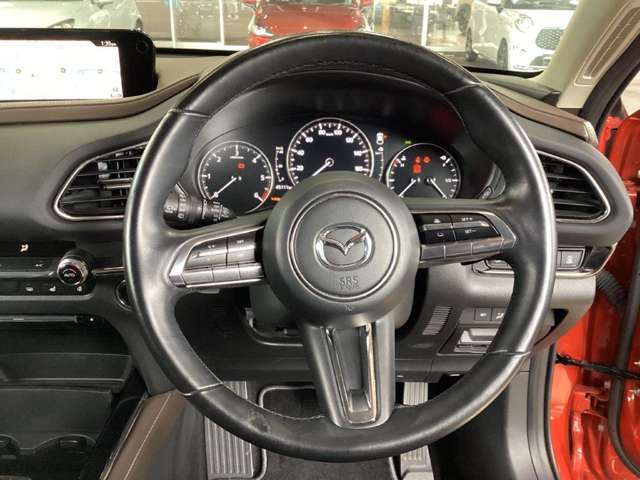 Mazda CX-30 10