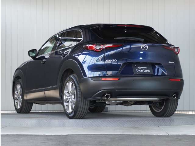 Mazda CX-30 12