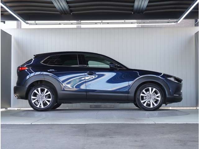 Mazda CX-30 9