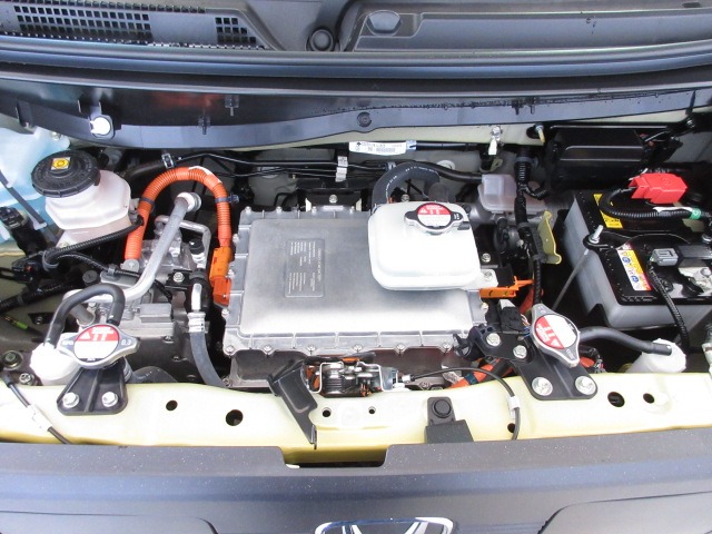 Honda N-VAN e: 12