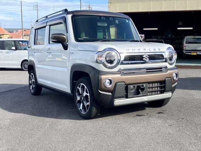 Suzuki Hustler 11