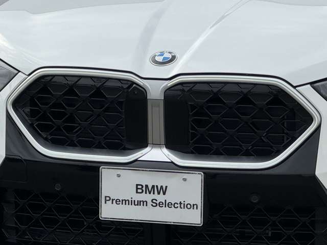BMW X2 10