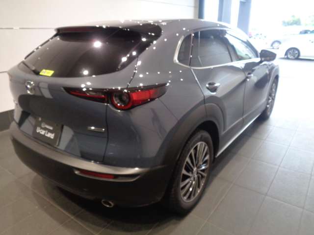 Mazda CX-30 6