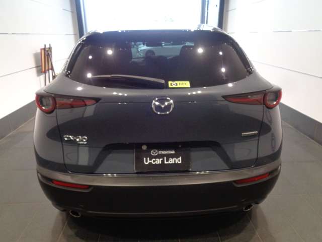Mazda CX-30 7