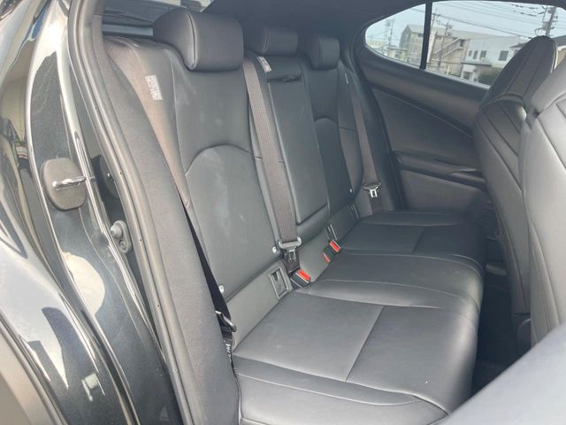 Lexus UX 11