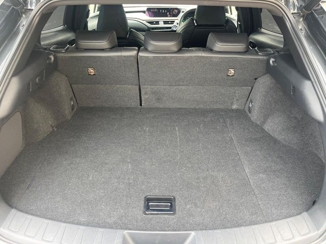 Lexus UX 12