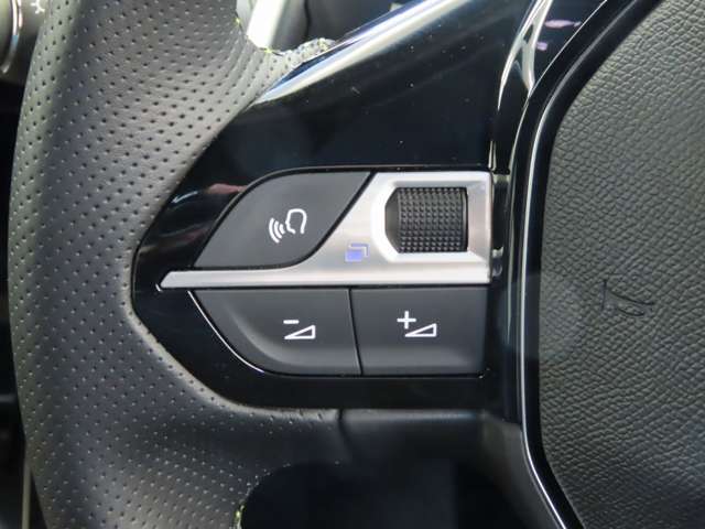 Peugeot SUV 2008 12