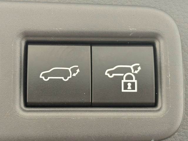 Lexus RX 10