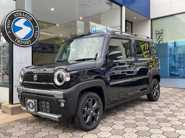 Suzuki Hustler 11