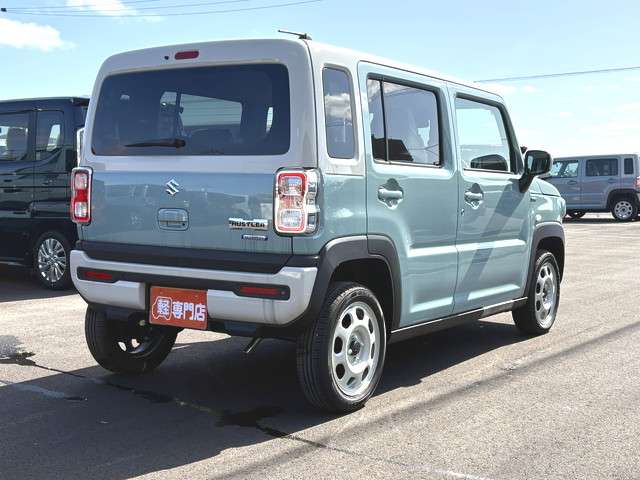 Suzuki Hustler 10