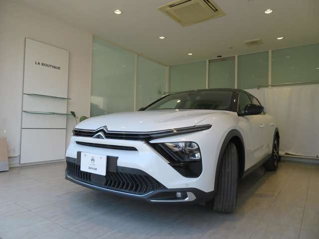 Citroen C5 X 3