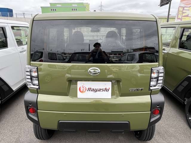 Daihatsu Taft 12