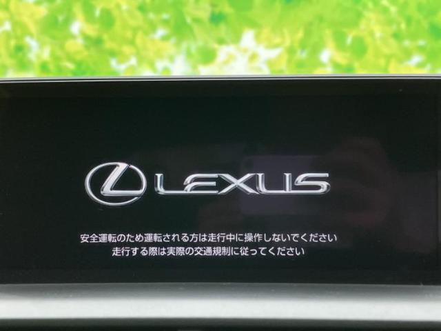 Lexus NX 4