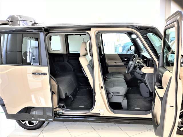 Mitsubishi Delica Mini 5