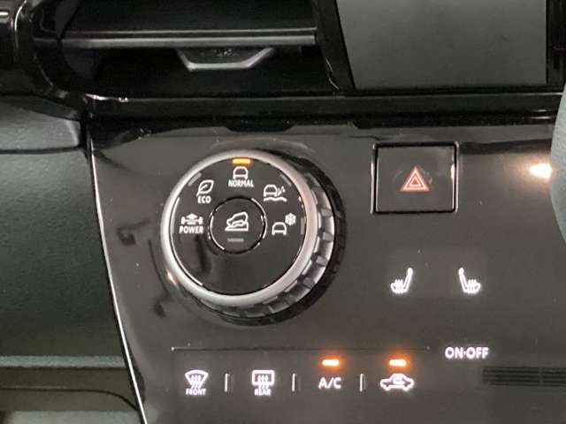 Mitsubishi Delica Mini 10