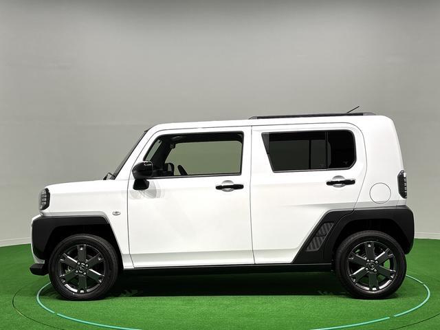 Daihatsu Taft 8