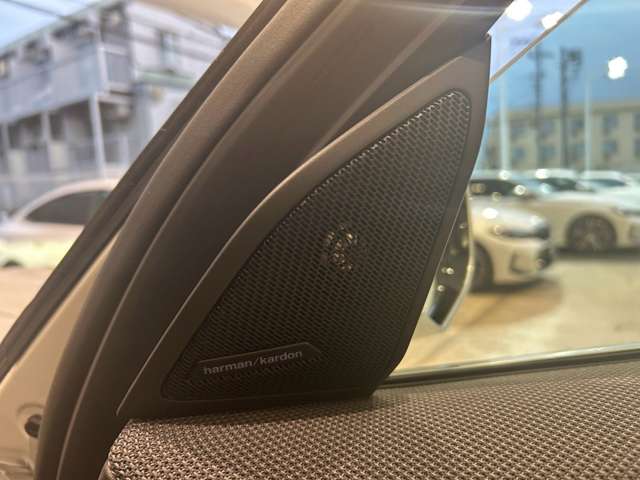 BMW X3 9