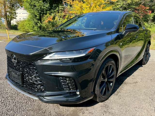 Lexus RX 6
