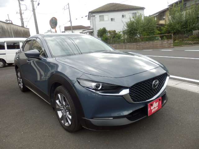 Mazda CX-30 6