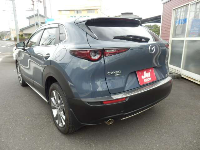 Mazda CX-30 9