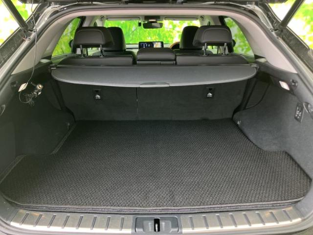 Lexus RX 10
