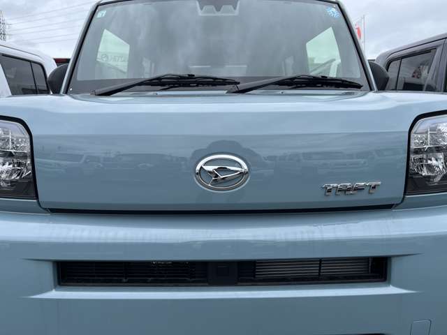 Daihatsu Taft 10