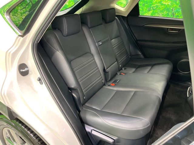 Lexus NX 11