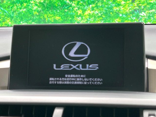 Lexus NX 3