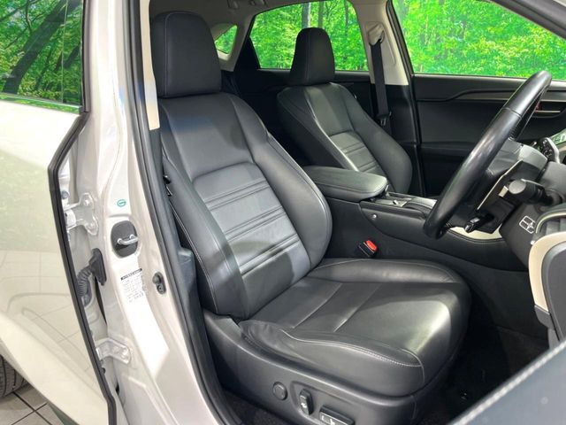 Lexus NX 10