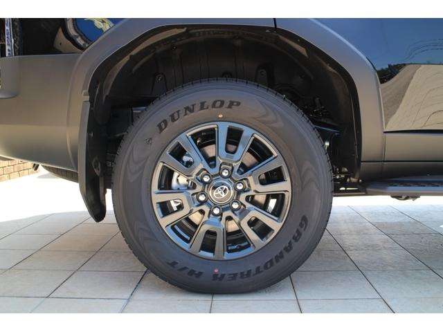 Toyota Land Cruiser 250 11