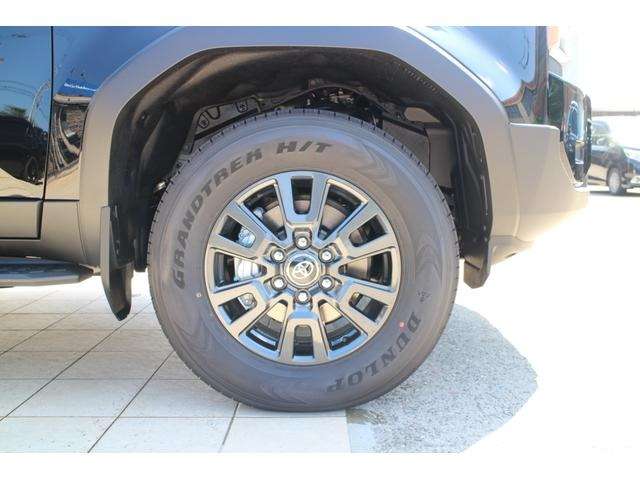 Toyota Land Cruiser 250 10
