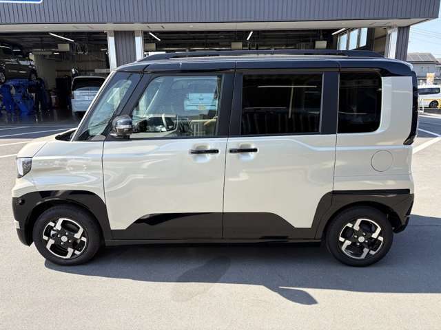 Mitsubishi Delica Mini 11