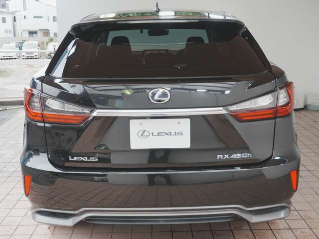 Lexus RX 11