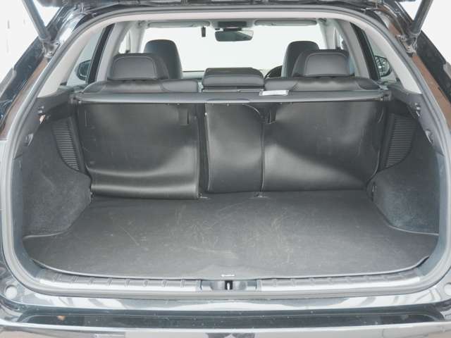 Lexus RX 12